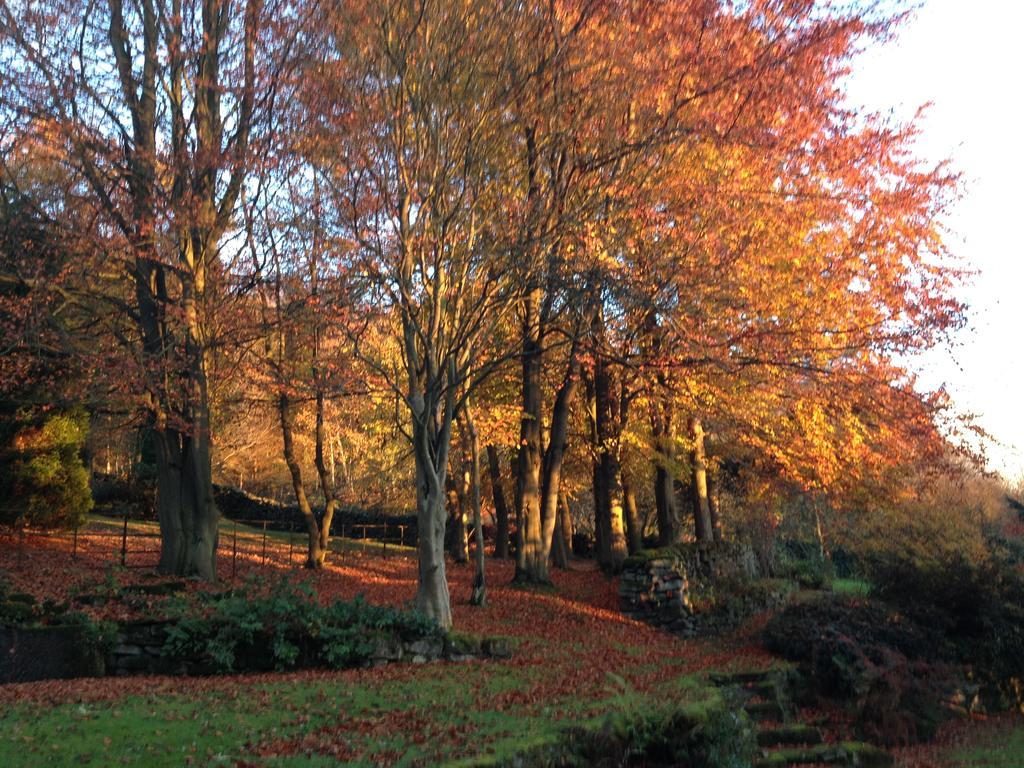 Robin Hood Farm B&B Baslow Exteriér fotografie