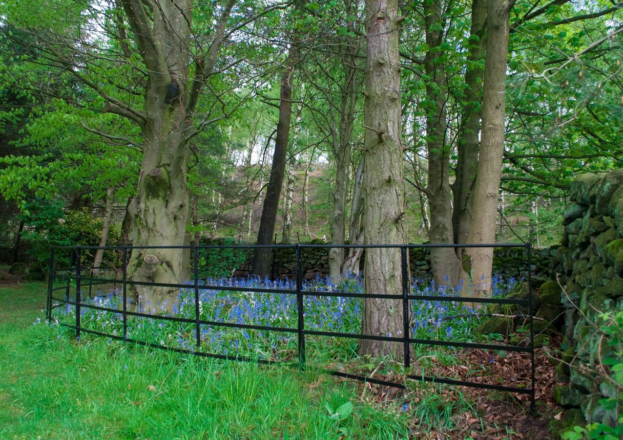 Robin Hood Farm B&B Baslow Exteriér fotografie